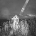 Webcam_20241203-071500