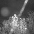 Webcam_20241203-194500