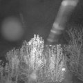 Webcam_20241203-204500