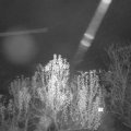 Webcam_20241204-070000