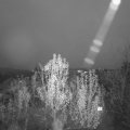 Webcam_20241204-073000