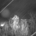 Webcam_20241205-184500