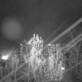 Webcam_20241205-190000