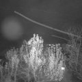 Webcam_20241205-201500