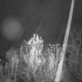 Webcam_20241205-211500