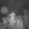 Webcam_20241206-054500