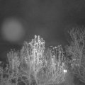 Webcam_20241207-070000