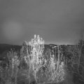 Webcam_20241207-073000