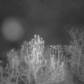 Webcam_20241208-194500