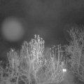 Webcam_20241209-051500