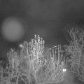 Webcam_20241209-054500