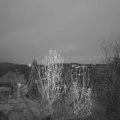 Webcam_20241209-074500
