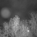 Webcam_20241210-053000