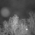Webcam_20241210-054500