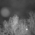 Webcam_20241211-051500