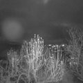 Webcam_20241211-174500