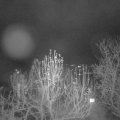 Webcam_20241212-054500
