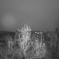 Webcam_20241212-073000