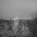 Webcam_20241212-170000