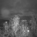 Webcam_20241212-184500