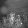 Webcam_20241212-191500
