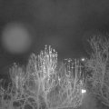Webcam_20241213-053000