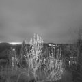 Webcam_20241213-073000