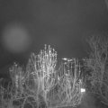 Webcam_20241213-214500