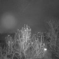 Webcam_20241216-060000