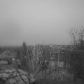 Webcam_20241216-080000