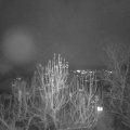 Webcam_20241216-191500