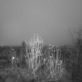 Webcam_20241217-074500