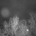 Webcam_20241218-060000