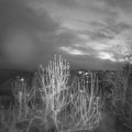 Webcam_20241218-073000