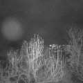 Webcam_20241218-171500