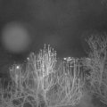 Webcam_20241218-173000