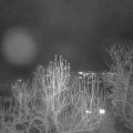 Webcam_20241218-194500