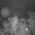 Webcam_20241219-070000