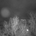 Webcam_20241219-073000
