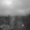Webcam_20241219-080000