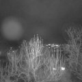 Webcam_20241219-171500