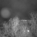 Webcam_20241219-181500