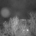 Webcam_20241219-201500
