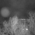 Webcam_20241219-204500