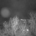 Webcam_20241220-194500