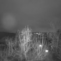 Webcam_20241221-170000