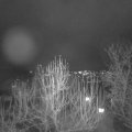 Webcam_20241221-171500