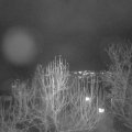 Webcam_20241221-174500