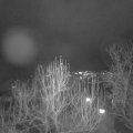 Webcam_20241221-180000