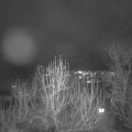 Webcam_20241222-174500